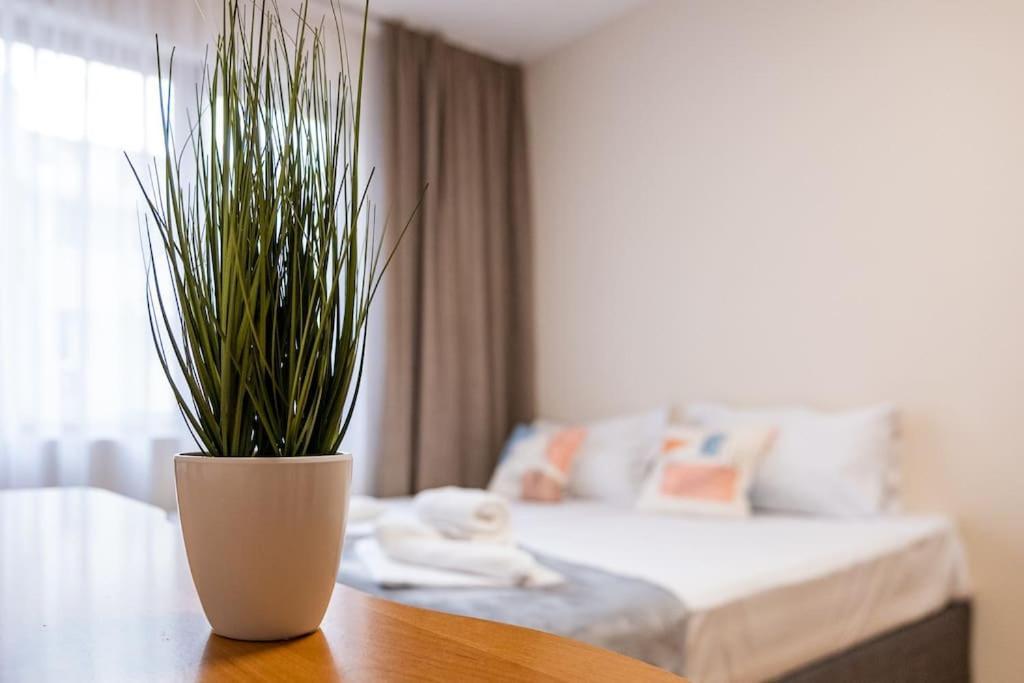 Varna Central 2Bdrm Apartment Εξωτερικό φωτογραφία